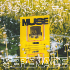 BTS‎ ‎ •‎ ‎ Jimin - MUSE