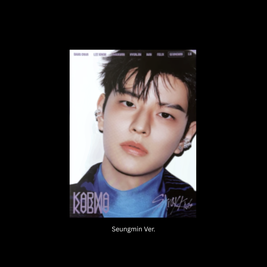 Stray Kids – KARMA (ACCORDION VER.)