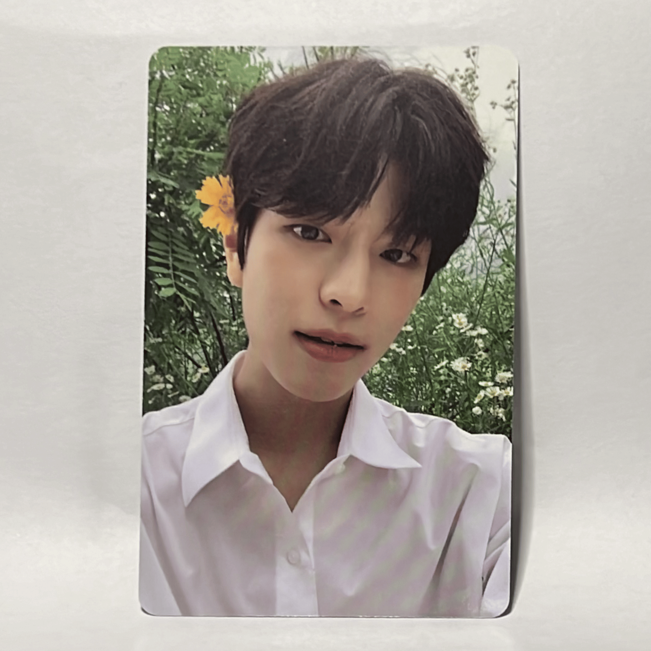 Stray Kids  •  Seungmin - Noeasy (Limited Version) Photocard