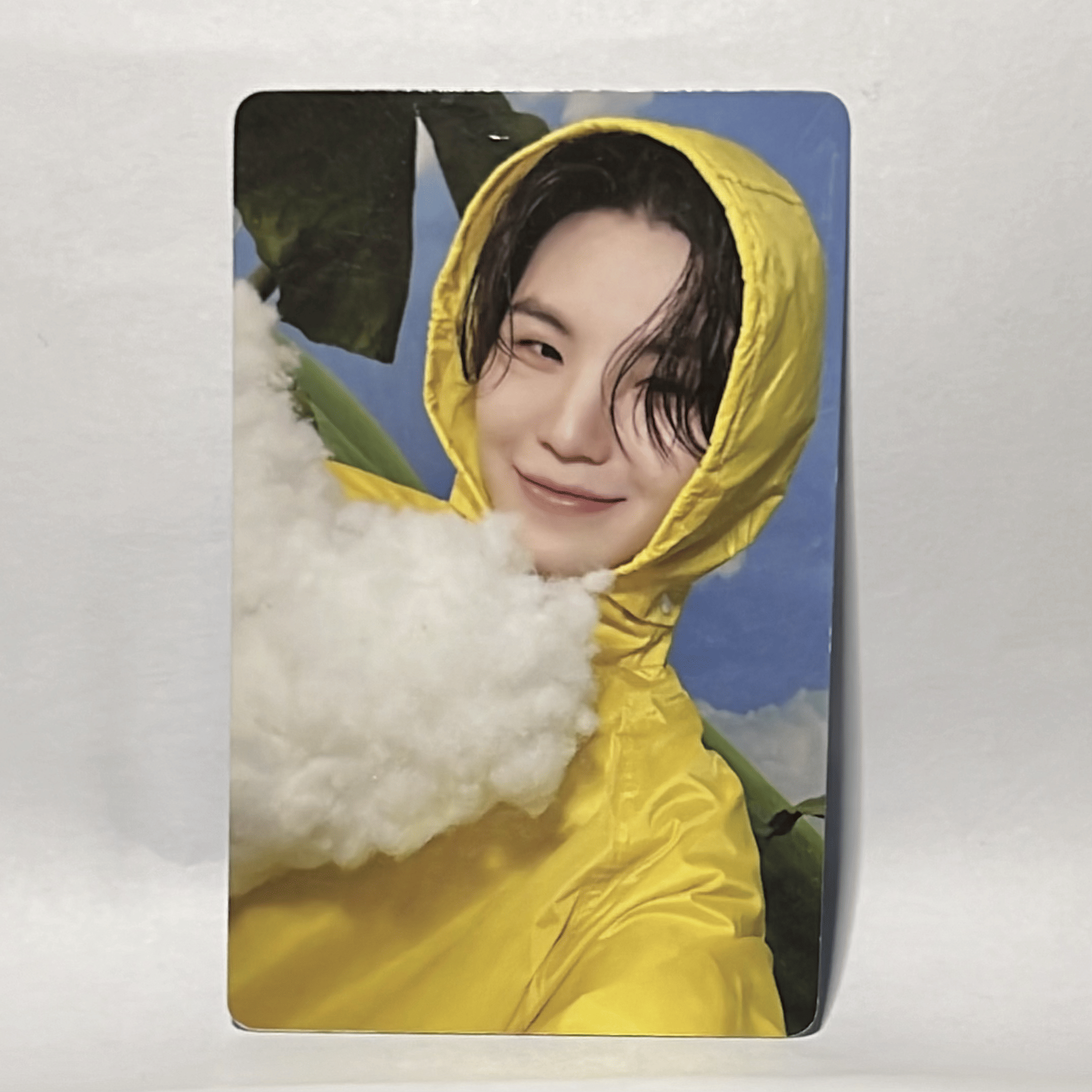 SEVENTEEN  •  Woozi - Seventeenth Heaven Carat Version Photocard