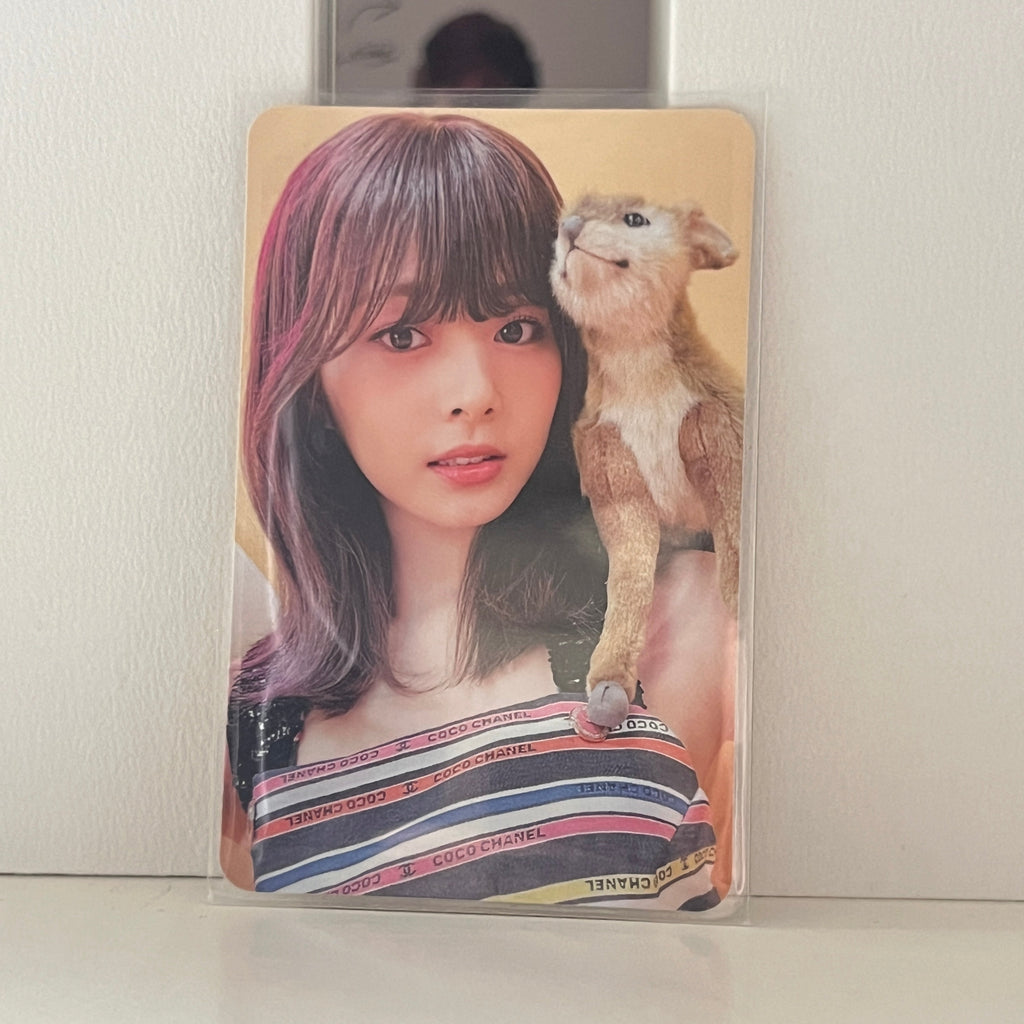TWICE  •  Tzuyu - Between 1&2 Photocard