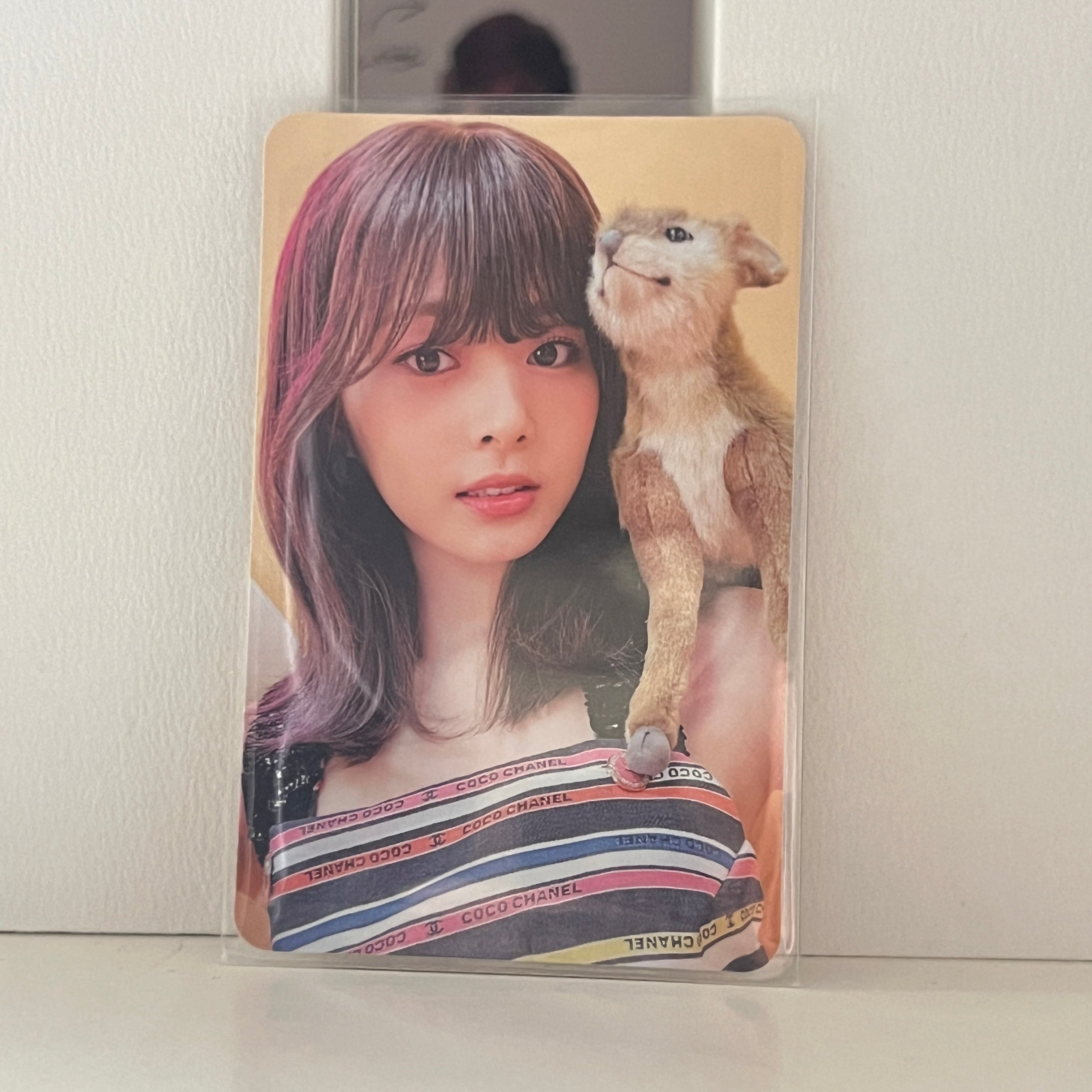 TWICE  •  Tzuyu - Between 1&2 Photocard