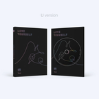 BTS - LOVE YOURSELF 轉 'Tear'